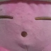 緑の画像