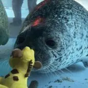 エリザベスの画像