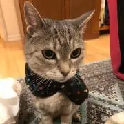 りやん