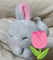 marchの画像
