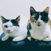 h.takayaの画像