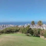 ののの画像