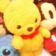 Rの画像
