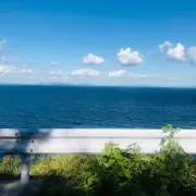 すず