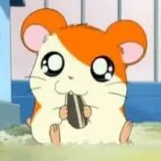 S♡プロフィール必読の画像