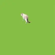 がゆの画像