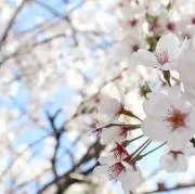 Tarouの画像