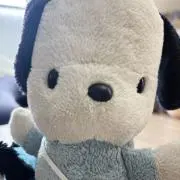 はるみゆの画像