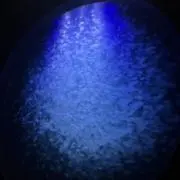 ぴこたの画像