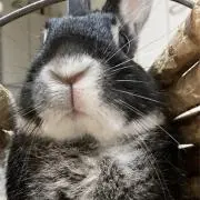 【プロフィール見てください】あーちゃんの画像