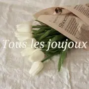Tous les joujouxの画像
