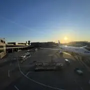 はの画像