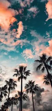 ひかるの画像