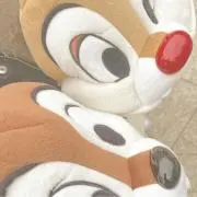 チョコの画像