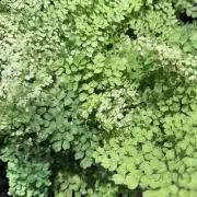 yamachi064の画像