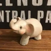 まころんの画像