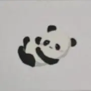 こっこの画像