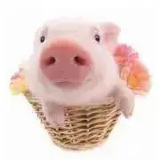 ＊HARU＊の画像