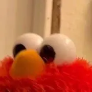ぽんの画像