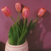 vintage room＊の画像