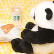 ✩一読お願いします✩の画像