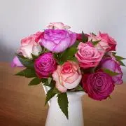 amyの画像