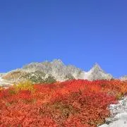 Mの画像