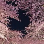 ハルの画像