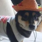 TADAHIRO