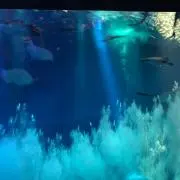 ☆プロフィール必読Ⓜ︎☆