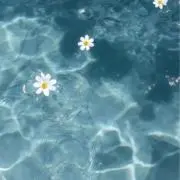 りらーの画像