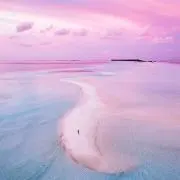yの画像