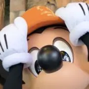 みみの画像