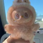 リアの画像