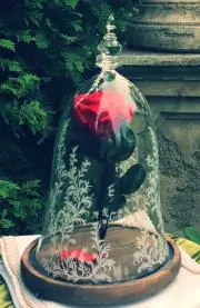 エモンドくるみの画像