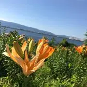 みーちの画像