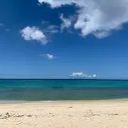 chocoゴン太の画像