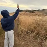 こうの画像