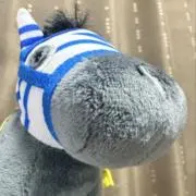 クックの画像