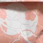 yの画像
