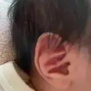 chipin