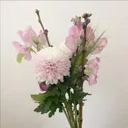 emaの画像
