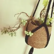 nico&LIFEの画像