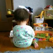 もみじの画像