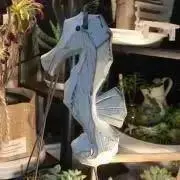 Seahorseの画像