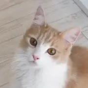 hiroの画像