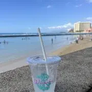 blue Hawaiiの画像