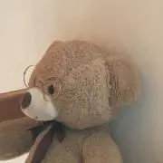 mochiの画像