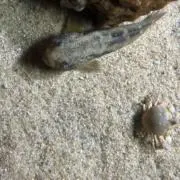 アルミ缶の画像