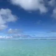りんご⭐︎の画像